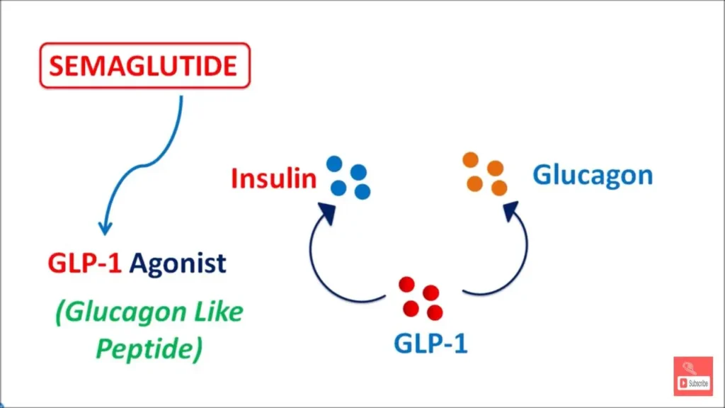 Semaglutide Insulin Glucagon